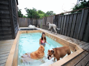 天然水の温水プール｛流水も可｝ 老犬のリハビリに効果