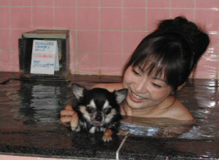愛犬と入れるお風呂
