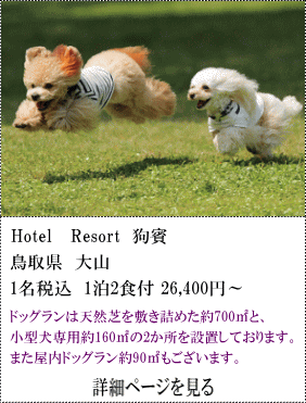 Hotel-Resort-駒賓　鳥取県大山　1名税込1泊2食付26,400円～　ドッグランは天然芝を敷き詰めた約700㎡と、小型犬専用約160㎡の2ヶ所を設置しております。また屋内ドッグラン約90㎡もございます。　詳細ページを見る