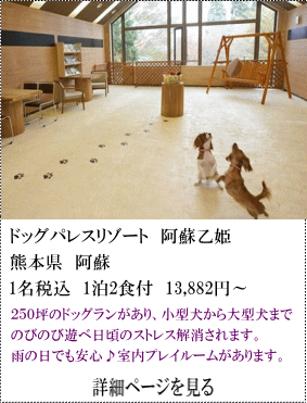 ドッグパレスリゾート阿蘇乙姫　熊本県阿蘇　1名税込1泊2食付13,882円～　250坪のドッグランがあり、小型犬から大型犬までのびのび遊べ、日頃のストレス解消されます。雨の日でも安心♪室内プレールームがあります。　詳細ページを見る