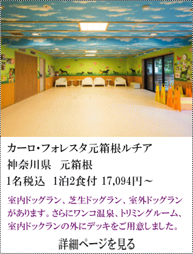 カーロ・フォレスタ元箱根ルチア　神奈川県元箱根　1名税込1泊2食付17,094円～　室内ドッグラン、芝生ドッグラン、屋外ドッグランがあります。さらにワンコ温泉、トリミングルーム、室内ドッグランの外にデッギをご用意しました。　詳細ページを見る