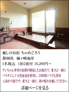 癒しのお宿ちゃめごろう　静岡県城ケ崎海岸　1名税込1泊2食付16,200円～　ワンちゃん専用の浴槽が隣接したお風呂で、愛犬と一緒にバスタイム♪天然温泉を使用し、24時間いつでも貸し切り入浴が可能です。愛犬と一緒に、旅の疲れを癒してください。　詳細ページを見る