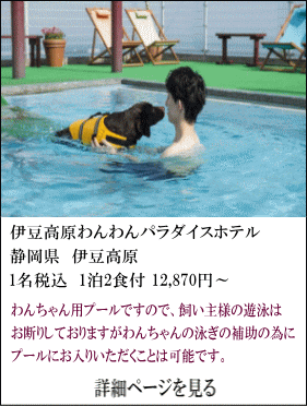 伊豆高原わんわんパラダイスホテル　静岡県伊豆高原　1名税込1泊2食付12,870円～　ワンちゃん用プールですので、飼い主様の遊泳はお断りしておりますが、ワンちゃんの泳ぎの補助の為にプールにお入りいただくことは可能です。　詳細ページを見る