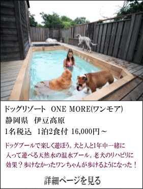 ドッグリゾート-ONE-MORE（ワンモア）　静岡県伊豆高原　1名税込1泊2食付16,000円～　ドッグプールで楽しく遊ぼう。犬と人と1年中一緒に入って遊べる天然水の温水プール。老犬のリハビリに効果？。歩けなかったワンちゃんが歩けるようになった！　詳細ページを見る