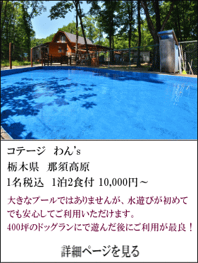 コテージわん’s　栃木県那須高原　1名税込1泊2食付10,000円～　大きなプールではありませんが、水遊びが初めてでも安心してご利用いただけます。400坪のドッグランで遊んだ後にご利用が最良！　詳細ページを見る