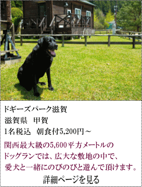 ドギーズパーク滋賀　滋賀県甲賀　1名税込朝食付5,200円～　関西最大級の5600平方メートルのドッグランでは、広大な敷地の中で、愛犬と一緒にのびのびと遊んでいただけます。　詳細ページを見る