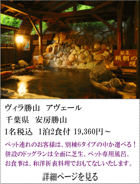 ヴィラ勝山アヴェール　千葉県安房勝山　1名税込1泊2食付19,360円～　ペット連れのお客様は、別当6タイプの中から選べる！　併設のドtグランは全面に芝生、ペット専用風呂、お食事は、和洋折衷料理でおもてなしいたします。　詳細ページを見る