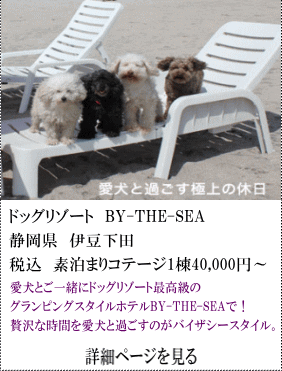 ドッグリゾートBY-THE-SEA　静岡県伊豆下田　税込素泊まりコテージ1棟40,000円～　愛犬とご一緒にドッグリゾート最高級のグランビングスタイルホテルBY-THE-SEAで！贅沢な時間を愛犬と過ごすのがバイザシースタイル。　詳細ページを見る