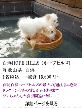 白浜HOPE-HILLS（ホープヒルズ）　和歌山県白浜　1名税込1棟貸15,600円～　南紀白浜ホープヒルズの最大の「魅力」は絶景！ドッグラン付の貸別荘もあります。ワンちゃんも大喜び間違い無し！！　詳細ページを見る