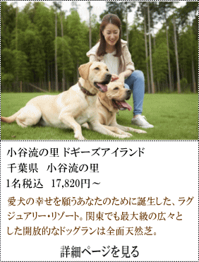 小谷流の里ドギーズアイランド　千葉県小谷流の里　1名税込17,820円～　愛犬の幸せを願うあなたの為に誕生した、ラグジュアリー・リゾート。関東でも最大級の広々とした解放的なドッグランは全面天然芝。　詳細ページを見る