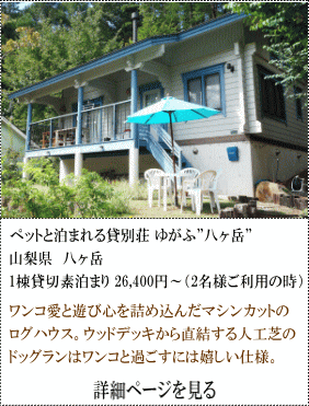 ペット泊まれる貸別荘ゆがふ八ヶ岳　山梨県八ヶ岳　1棟貸切素泊まり26,400円～（2名様ご利用の時）　ワンコ愛と遊び心を詰め込んだマシンカットのログハウス、ウッドデッキから直結する人工芝のドッグランはワンコと過ごすには嬉しい仕様。　詳細ページを見る