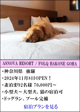 ASNOVA RESORT/ FOLQ HAKONE GORA 　神奈川県強羅　2024年11月8日OPEN！　素泊まり2名様70,000円～　小型犬～大型犬、猫の宿泊可　ドッグラン、ペットプール完備　宿泊プランを見る