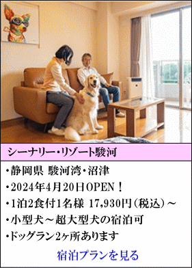 シーナリー・リゾート駿河　静岡県駿河湾・沼津　2024年4月20日OPEN！　1泊2食付1名様17,930円（税込）～　小型犬～超大型犬の宿泊可　ドッグラン2ヶ所完備。　宿泊プランを見る