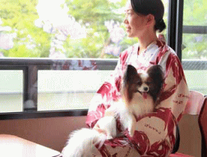 ワンちゃんとご一緒の客室