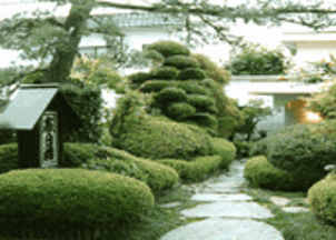 宿の素敵な中庭