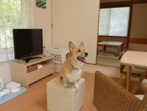 お客様専用デラックスタイプの客室