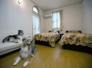 20畳ほどの広いお部屋