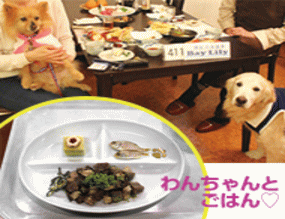 ワンちゃんのごはん「1」