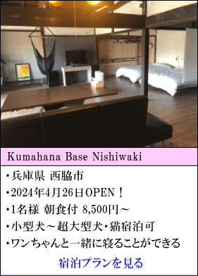 Kumahana Base Nishiwaki 　兵庫県西脇市　2024年4月26日OPEN！　1名様朝食付8,500円～　小型犬～超大型犬・猫と宿泊可　ワンちゃんと一緒に寝ることができる　宿泊プランを見る