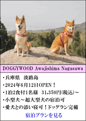 DOGGYWOOD Awajishima Nagasawa　兵庫県淡路島　2024年6月12日OPEN！　1泊2食付1名様31,350円～　小型犬～超大型犬の宿泊可　愛犬との添い寝可！ドッグラン完備　宿泊プランを見る