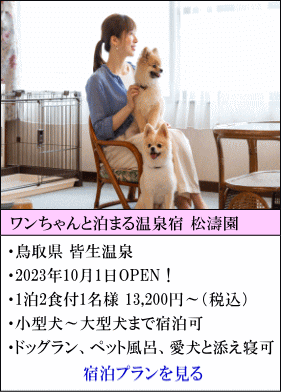 ワンちゃんと泊まる温泉宿松濤園　鳥取県皆生温泉　2023年10月1日OPEN！　1泊2食付1名様13,200円～（税込）　小型犬～大型犬まで宿泊可　ドッグラン、ペット風呂、愛犬と添え寝可　宿泊プランを見る