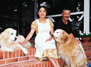 看板犬