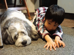 愛犬がお出迎え！