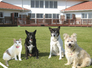 看板犬の・ハナ♀・キッス♀・アルファがお出迎え！