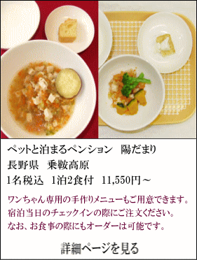 ペッと泊まれるペンション陽だまり　長野県乗鞍高原　1名税込1泊2食付11,550円～　ワンちゃん専用の手作りメニューもご用意できます。宿泊当日のチエックインの際にご注文ください。なお、お食事の際にもオーダーは可能です。　詳細ページを見る