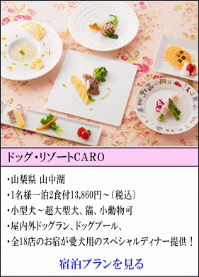 ドッグ・リゾートCARO 山梨県山中湖　1名様1泊2食付13,860円～（税込）　小型犬～超大型犬、猫、小動物可　屋内ドッグラン、ドッグプール　全18店舗のお宿が愛犬用スペシャルディナー提供！　宿泊プランを見る