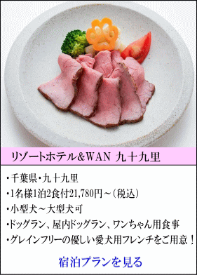 リゾートホテル＆WAN九十九里　千葉県九十九里　1名様1泊2食付21,780円～（税込）　小型犬～大型犬宿泊可　ドッグラン、屋内ドッグラン、ワンちゃん用食事　グレインフリーの優しい愛犬用フレンチをご用意！　宿泊プランを見る