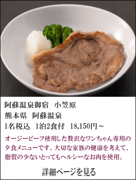 阿蘇温泉御宿小笠原　熊本県阿蘇温泉　1名税込1名2食付18,150円～　オージービーフ使用した贅沢なワンちゃん専用の夕食メニューです。大切な家族の健康を考えて、脂質の少ないとってもヘルシーなお肉を使用。　詳細ページを見る