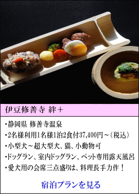 伊豆修善寺絆＋　静岡県修善寺温泉　2名様利用1名1泊2食付37,400円～（税込）　小型犬～超大型犬、猫、小動物可　ドッグラン、屋内ドッグラン、ペット専用露天風呂　愛犬用の会席三点盛りは、料理長手力作！　宿泊プランを見る