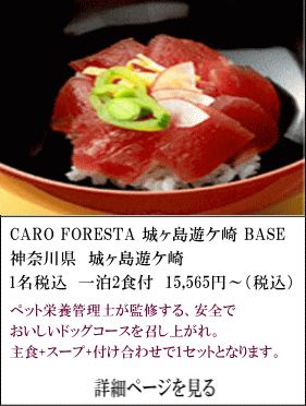 CARO-FORESTA-城ヶ島遊ケ崎BASE　神奈川県城ヶ島遊ケ崎　1名税込1泊2食付15,565円～（税込）　ペット栄養管理士が監修する、安全でおいしいドッグを召しあがれ。主食＋スープ＋付け合わせで1セットとなります。　詳細ページを見る