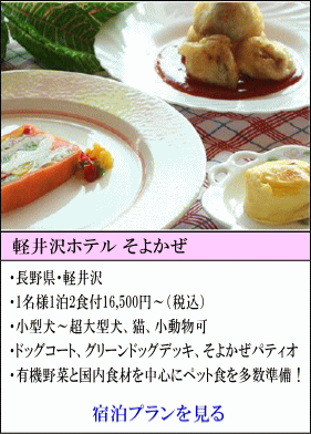 軽井沢ホテルそよかぜ　長野県軽井沢　1名様1泊2食付16,500円～（税込）　小型犬～超大型犬、猫、小動物可　ドッグコート、グリーンドッグデッキ、そよかぜパティオ　有機野菜と国内食材を中心にペット食を多数準備！　宿泊プランを見る