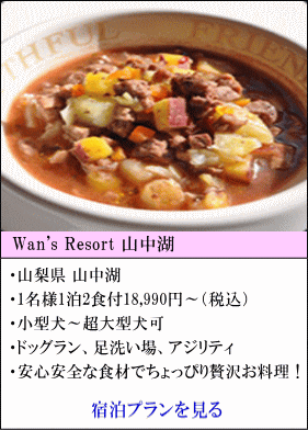 Wan's Resort 山中湖　山梨県山中湖　1名様1泊2食付18,990円～（税込）　小型犬～超大型犬宿泊可　ドッグラン、足洗い場、アジリティ　安心安全な食材で、ちょっぴり贅沢なお料理！　宿泊プランを見る