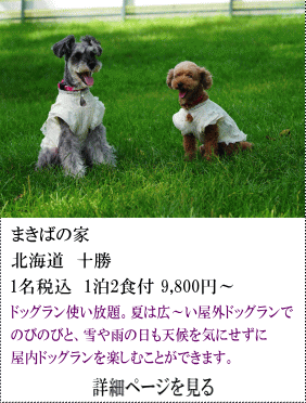 まきばの家　北海道十勝　1名税込1泊2食付9,800円～　ドッグラン使い放題。夏は広～い屋外ドッグランでのびのびと、雪や雨の日も天候を気にせずに屋内ドッグランを楽しむことができます。　詳細ページを見る