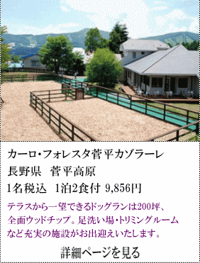 カーロ・フォレスタ菅平カゾラーレ　長野県菅平高原　1名税込1泊2食付9,856円～　テラスから一望できるドッグランは200坪、全面ウッドチップ。足洗い場・トリミングルームなど充実の施設がお出迎えいたします。　詳細ページを見る