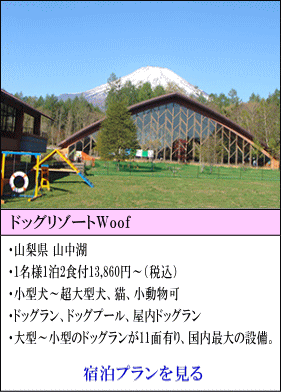 ドッグリゾートWoof　1名様1泊2食付13,860円～（税込）　小型犬～超大型犬、猫、小動物可　ドッグラン、ドッグプール、屋内ドッグラン　大型～小型用のドッグランが11面あり、国内最大の設備。　宿泊プランを見る