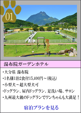 湯布院ガーデンホテル　大分県湯布院　1名様1泊2食付15,400円～（税込）　小型犬～超大型犬宿泊可　ドッグラン、屋内ドッグラン、足洗い場、サロン　九州最大級のドッグランでワンちゃんも大満足！　宿泊プランを見る