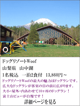 ドッグリゾートWoof　山梨県山中湖　1名税込1泊2食付13,860円～　ドッグリゾートWoofの最大の魅力はドッグランです。広大なドッグランが客室の目の前に広がります。大小・屋外・内あわせて10ヶ所のドッグラン！富士山ビューが自慢です。　詳細ページを見る