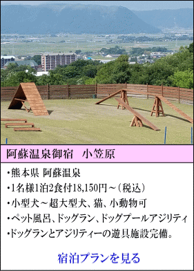 阿蘇温泉御宿小笠原　熊本県阿蘇温泉　1名様1泊2食付18,150円～（税込）　小型犬～超大型犬、猫、小動物可　ペット風呂、ドッグラン、ドッグプール、アジリティ　ドッグランとアジリティの遊具設備完備。　宿泊プランを見る