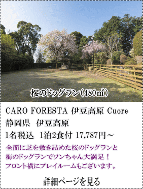 CARO-FORESTA-伊豆高原-Cuore　静岡県伊豆高原　1名税込1泊2食付17,787円～　全面に芝を敷き詰めた桜のドッグランと梅のドッグランでワンちゃん大満足！フロント横にプレールームもございます。　詳細ページを見る