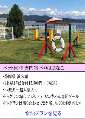 ペット同伴専門宿ペロはまなこ　静岡県浜名湖　1名様1泊2食付15,500円～（税込）　小型犬～超大型犬宿泊可　ドッグラン2面、アジリティ、ワンちゃん専用プール　ドッグランは、隣り合わせで2ヶ所、約300坪の広さがあります。　宿泊プランを見る