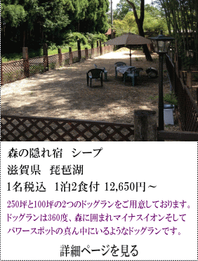 森の隠れ宿シープ　滋賀県琵琶湖　1名税込1泊2食付12,650円～　250坪と100坪の2つのドッグランを用意しております。ドッグランは360度、森に囲まれマイナスイオンそしてパワースポットの真ん中にいるようなドッグランです。　詳細ページを見る