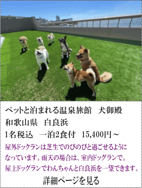 ペットと泊まれる温泉旅館犬御殿　和歌山県白良浜　1名税込1泊2食付15,400円～　屋外ドッグランは芝生でのびのびと過ごせるようになっています。雨天の場合は、屋内ドッグランで。屋上ドッグランでわんちゃんと白良浜を一望できます。　詳細ページを見る