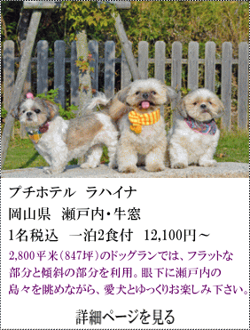 プチホテルラハイナ　岡山県瀬戸内・牛窓　1名税込1泊2食付12,100円～　2,800㎡（約847坪）のドッグランでは、フラットな部分と傾斜の部分を利用。目下に瀬戸内の島々を眺めながら、愛犬とゆっくりお楽しみください。　詳細ページを見る