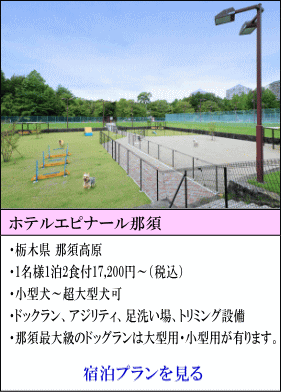 ホテルエピナール那須　栃木県那須高原　1名様1泊2食付17,200円～（税込）　小型犬～超大型犬宿泊可　ドッグラン、アジリティ、足洗い場、トリミング設備　那須最大級のドッグランは、大型用、小型用があります。　宿泊プランを見る