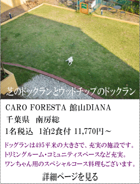 CARO-FORESTA-館山DIANA　千葉県南房総　1名税込1泊2食付11,770円～　ドッグランは495㎡の大きさで、充実の施設です。トリミングルーム・コミュ二ティスペースなどを充実。ワンちゃん用のスペシャルコース料理もございます。　詳細ページを見る