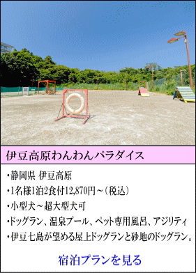 伊豆高原わんわんパラダイス　静岡県伊豆高原　1名様1泊2食付12,870円～（税込）　小型犬～超大型犬宿泊可　ドッグラン、温泉プール、ペット専用風呂、アジリティ　伊豆七島が望める屋上ドッグランと砂地のドッグラン。　宿泊プランを見る